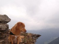 Picui (6)